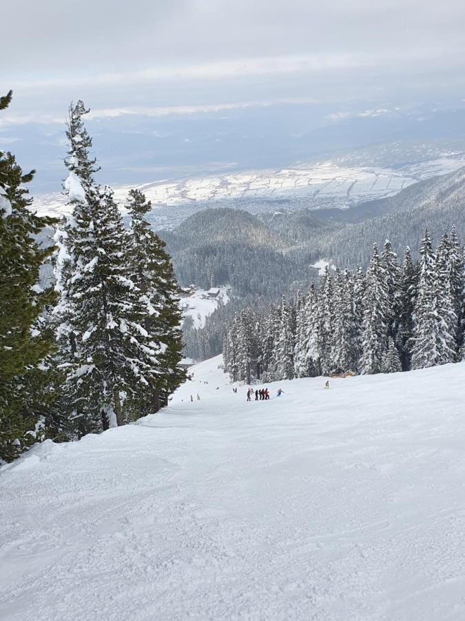 Spacious And Cosy Apartment In Bansko Royal Towers Complex Exterior photo